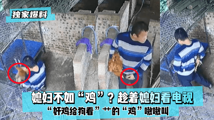 老根嫩草1一40淑媛全文视频-BD中字日本电影在线