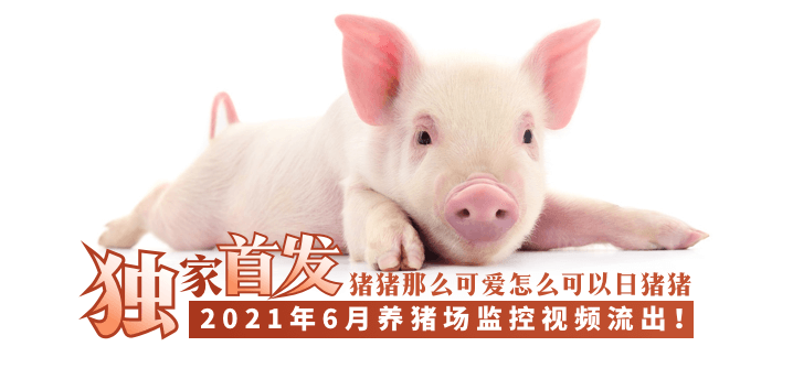 99久精品-HD免费高清完整视频