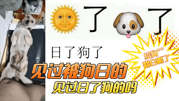 女朋友和前任做了一百多次-神马搜索青柠影院